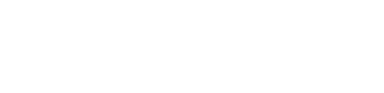 ToyoPay